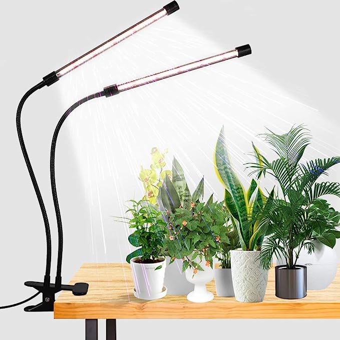 GooingTop LED Grow Light,6000K Full Spectrum Clip Plant Growing Lamp with White Red LEDs for Indoor Plants,5-Level Dimmable,Auto On Off Timing 4 8 12Hrs